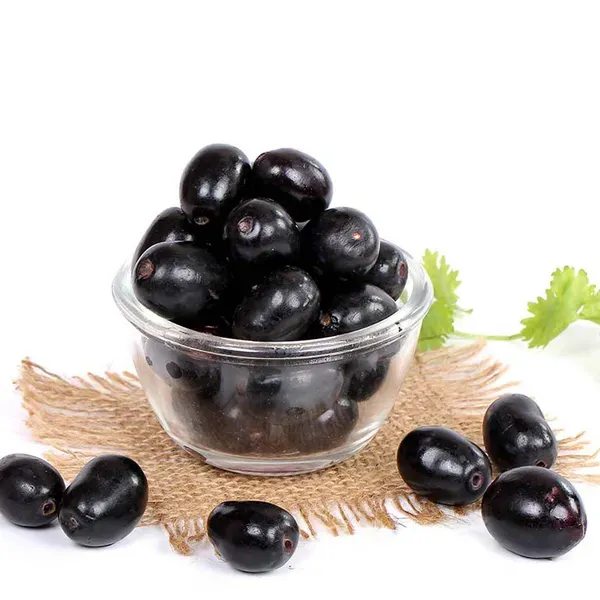 Black_Jamun_Jambolan_Grafted_Jam_Fruit_Plants_Tree_1_5_3_Feet_Size