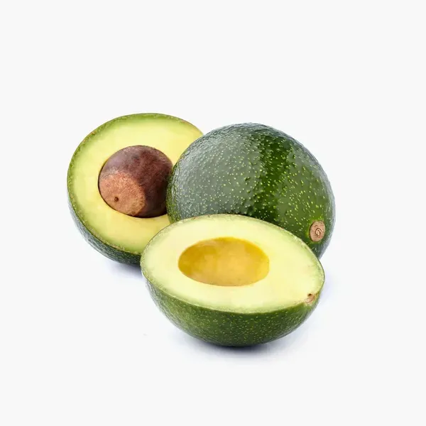 Avocado_Monroe_Round_Butter_Fruit_Grafted_Plants_Tree_1_5_3_Feet_Size