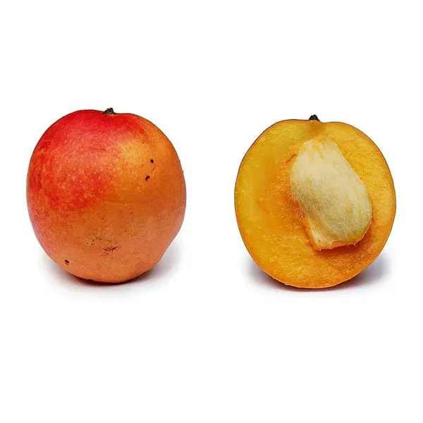 Apple_Mango_Grafted_Aam_Fruit_Plants_Tree_1_5_3_Feet_Size
