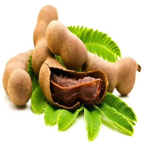 Sour_Vantoor_Tamarind_Imli_Fruit_Grafted_Plants_Tree_1_5_3_Feet_Size