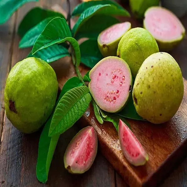 Guava_Pink_Lalit_Lalitha_Amrood_Variety_Fruit_Air_Layering_Grafted_Plants