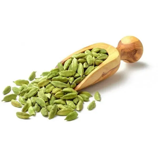 Elaichi_Cardamom_Spice_Plants_Tree_1_2_Feet_Size