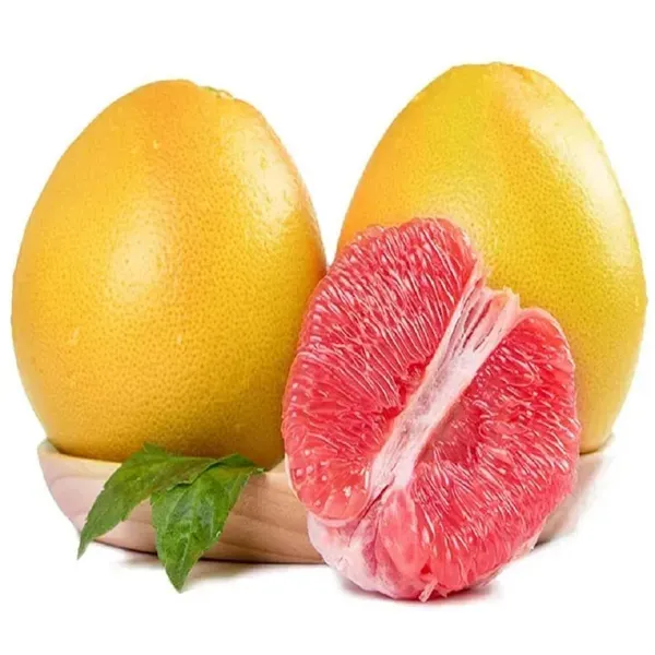 Seedless_Pomelo_Grapefruit_Jambura_Gaint_Chakotra_Batabi_Lebu_Kambili_Naran