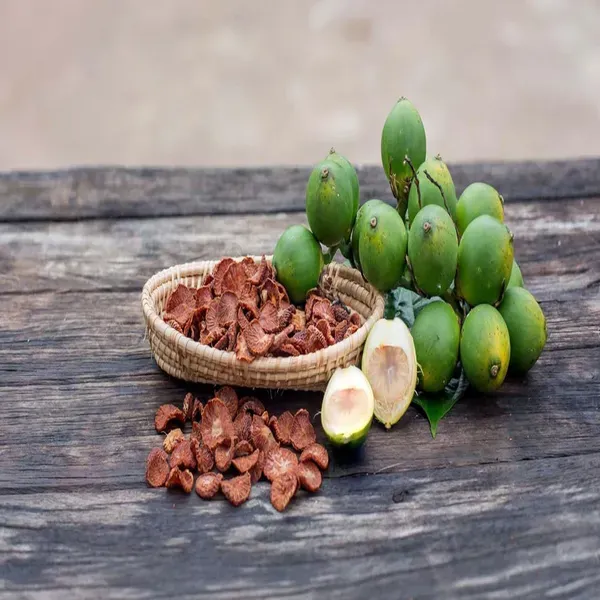 Assam_Pati_Arecanut_Betel_Nut_Plants_Tree_1_5_3_Feet_Size