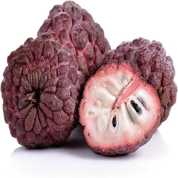 Red_Custard_Apple_Sitafal_Ata_Sugar_Apple_Fruit_Grafted_Plants_Tree_1_5_3