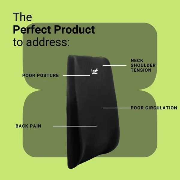 Lumbar_Support_Cushion