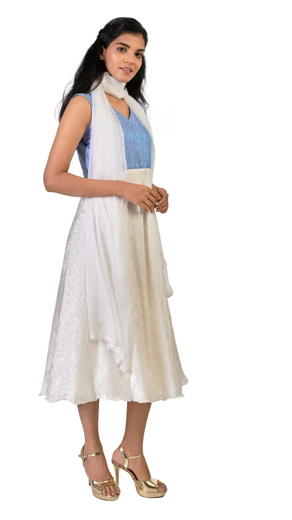 Anarkali_Dress_Set