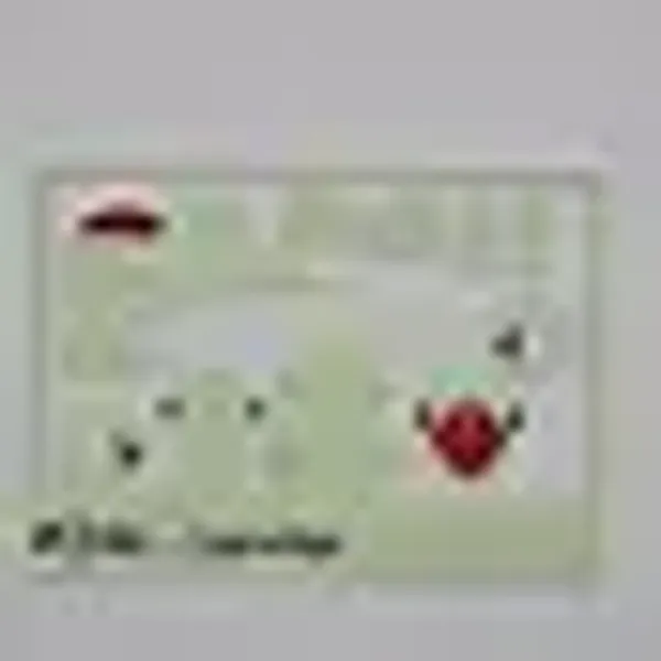 Larvitar_#246_3D_Kit_Card_Diy_Assembly_Model