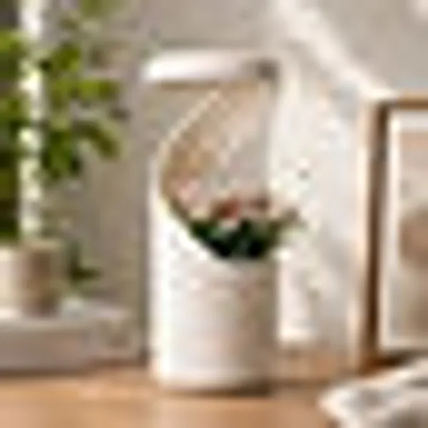 Petg_Spiral_Self_Watering_Desktop_Planter_Vase