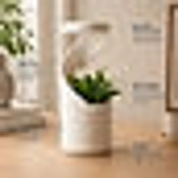 Petg_Spiral_Self_Watering_Desktop_Planter_Vase