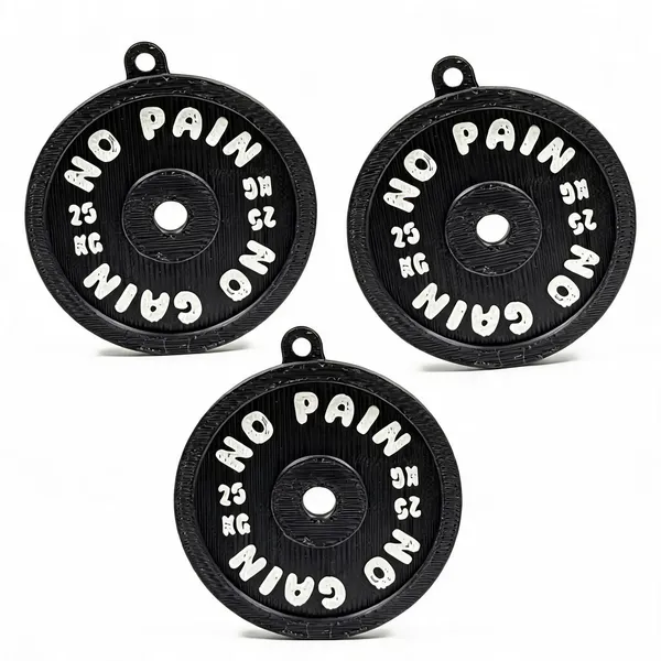 Black_3D_Printed_25Kg_Weight_Plate_Motivational_Keychain___Pack_of_3