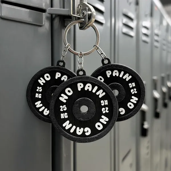 Black_3D_Printed_25Kg_Weight_Plate_Gym_Motivation_Keychain_Pack_of_3