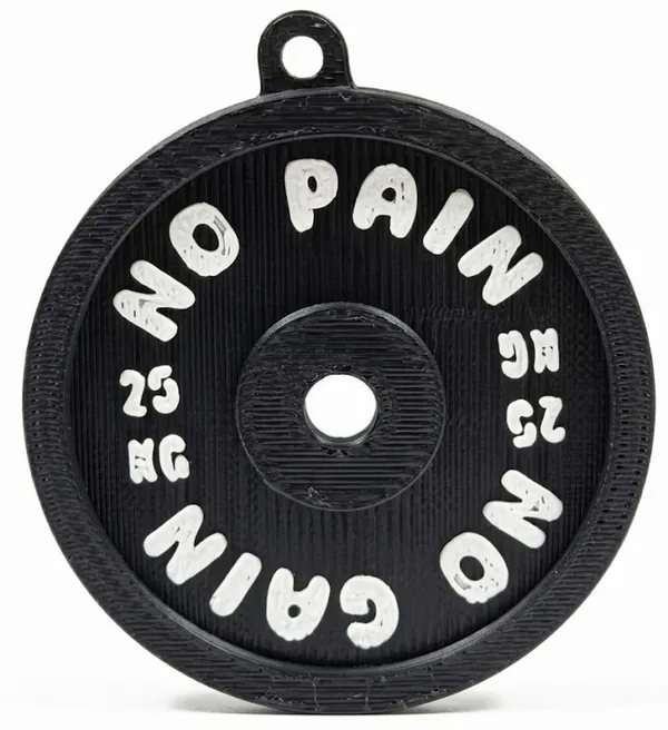 Black_3D_Printed_25Kg_Weight_Plate_Motivational_Keychain___Pack_of_3
