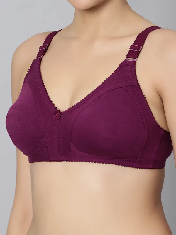 Bluenixie_Bn0210_Luxuriant_Cotton_Rich_Full_Coverage_T_Shirt_Bra_Wine