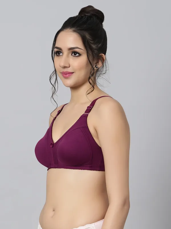 Bluenixie_Bn0210_Luxuriant_Cotton_Rich_Full_Coverage_T_Shirt_Bra_Wine