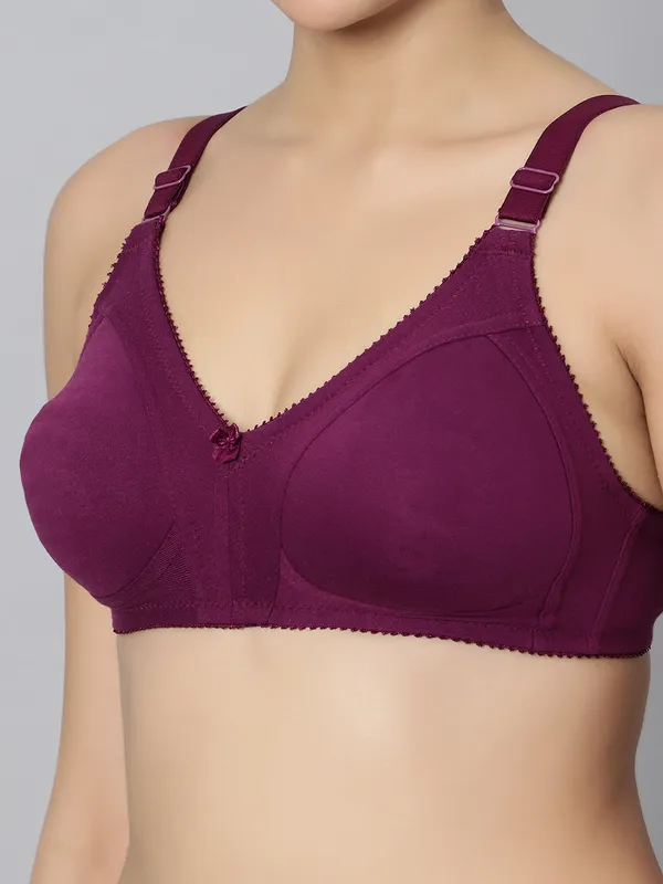 Bluenixie_Bn0210_Luxuriant_Cotton_Rich_Full_Coverage_T_Shirt_Bra_Wine