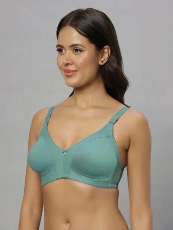 Bluenixie_Bn0210_New_Colors_C_Cup_Cotton_Rich_T_Shirt_Bra_Pista