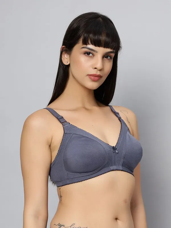 Bluenixie_Bn0210_New_Colors_C_Cup_Cotton_Rich_T_Shirt_Bra_K_Grey