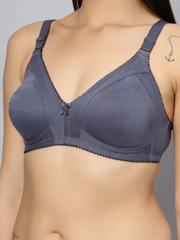 Bluenixie_Bn0210_New_Colors_C_Cup_Cotton_Rich_T_Shirt_Bra_K_Grey