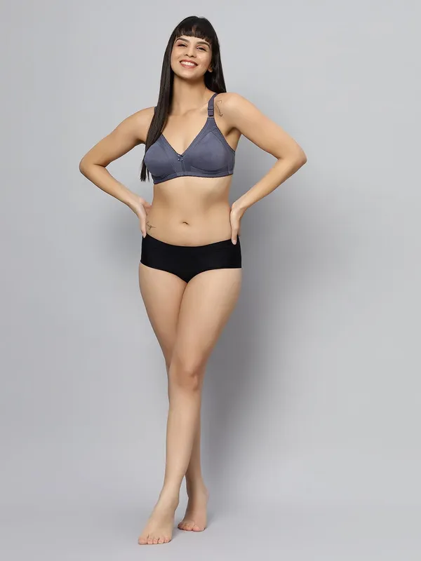 Bluenixie_Bn0210_New_Colors_C_Cup_Cotton_Rich_T_Shirt_Bra_K_Grey