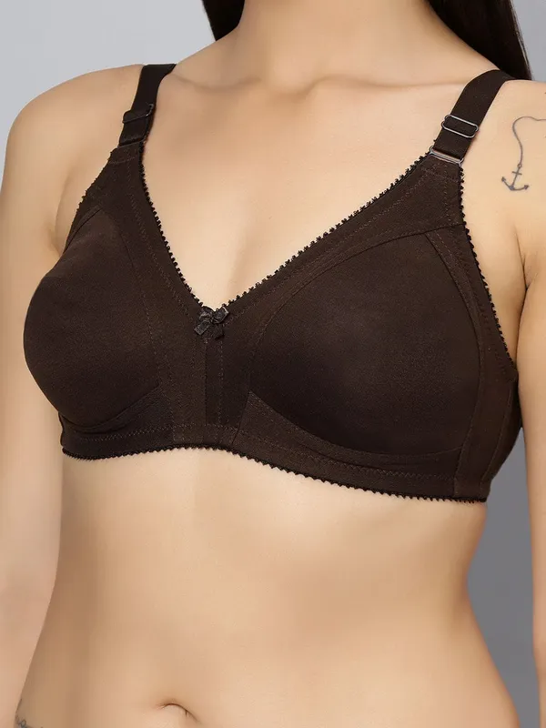 Bluenixie_Bn0210_New_Colors_C_Cup_Cotton_Rich_T_Shirt_Bra_Coffee