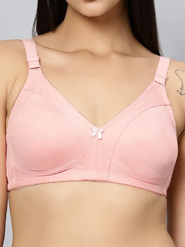 Bluenixie_Bn0210_New_Colors_C_Cup_Cotton_Rich_T_Shirt_Bra_M_Pink
