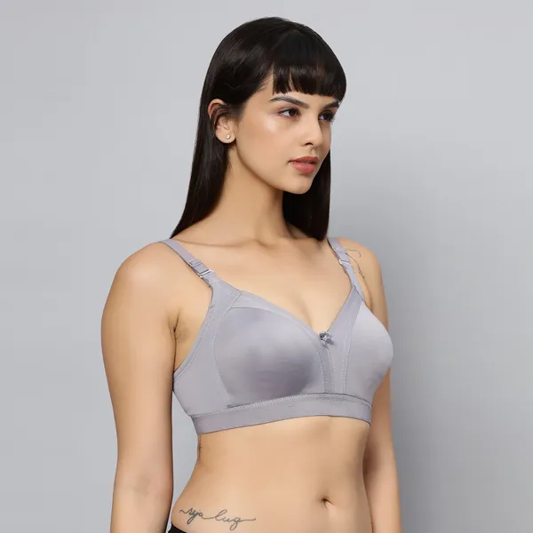 Bluenixie_Bn2514_Teesta_C_D_Cups_Cotton_Rich_Full_Coverage_T_Shirt_Bra_Grey