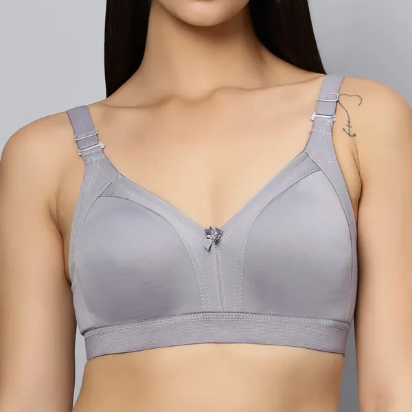 Bluenixie_Bn2514_Teesta_C_D_Cups_Cotton_Rich_Full_Coverage_T_Shirt_Bra_Grey