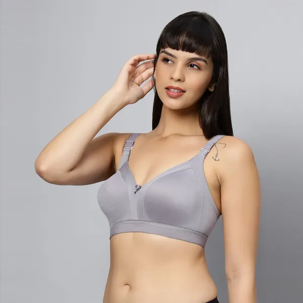 Bluenixie_Bn2514_Teesta_C_D_Cups_Cotton_Rich_Full_Coverage_T_Shirt_Bra_Grey
