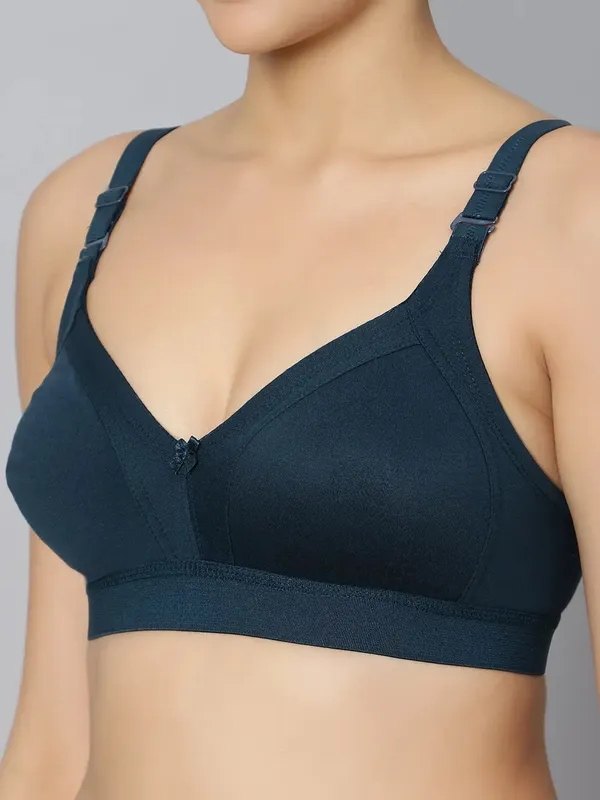 Bluenixie_Bn2514_Teesta_E_Cups_Full_Coverage_T_Shirt_Bra_Teal_Back