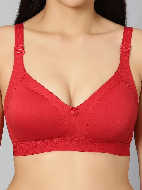 Bluenixie_Bn2514_Teesta_E_Cups_Full_Coverage_T_Shirt_Bra_Maroon_Back