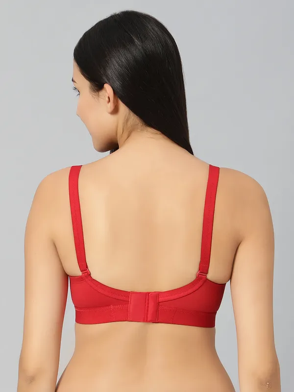 Bluenixie_Bn2514_Teesta_E_Cups_Full_Coverage_T_Shirt_Bra_Maroon_Back