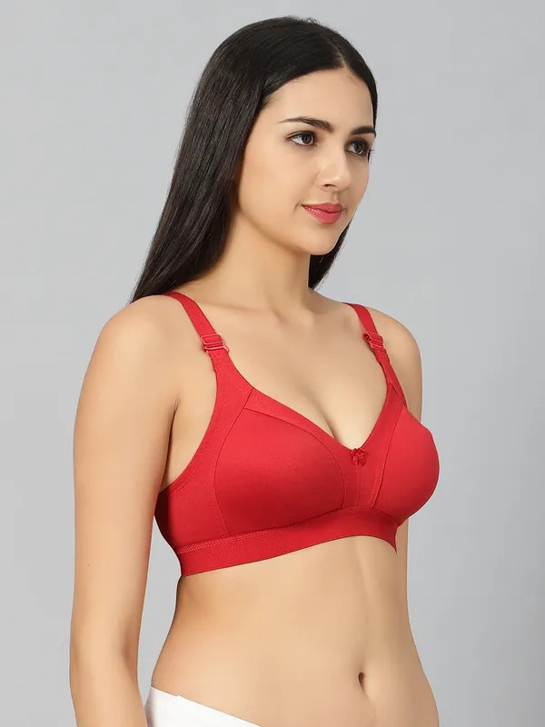 Bluenixie_Bn2514_Teesta_E_Cups_Full_Coverage_T_Shirt_Bra_Maroon_Back