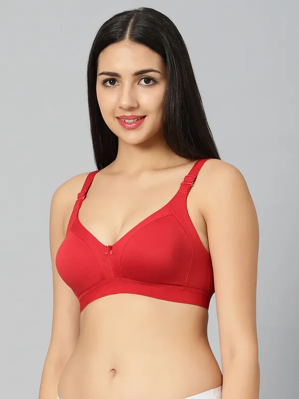 Bluenixie_Bn2514_Teesta_E_Cups_Full_Coverage_T_Shirt_Bra_Maroon_Back