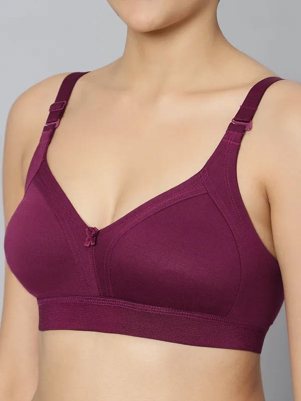 Bluenixie_Bn2514_Teesta_E_Cups_Full_Coverage_T_Shirt_Bra_Wine_Back