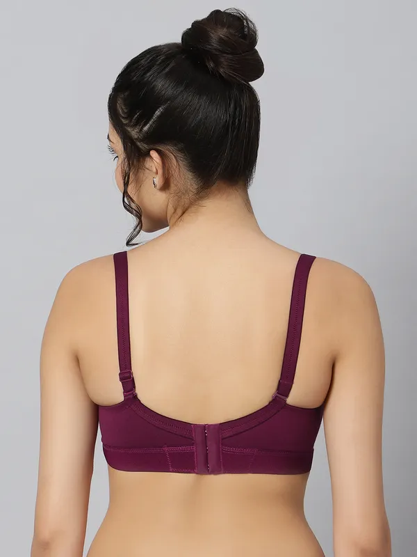 Bluenixie_Bn2514_Teesta_E_Cups_Full_Coverage_T_Shirt_Bra_Wine_Back
