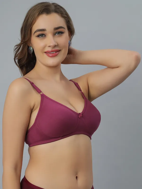 Bluenixie_Bn1802_Cotton_Rich_T_Shirt_Bra_Wine