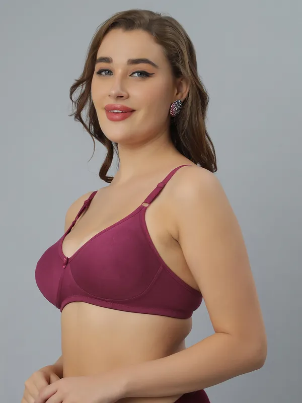 Bluenixie_Bn1802_Cotton_Rich_T_Shirt_Bra_Wine
