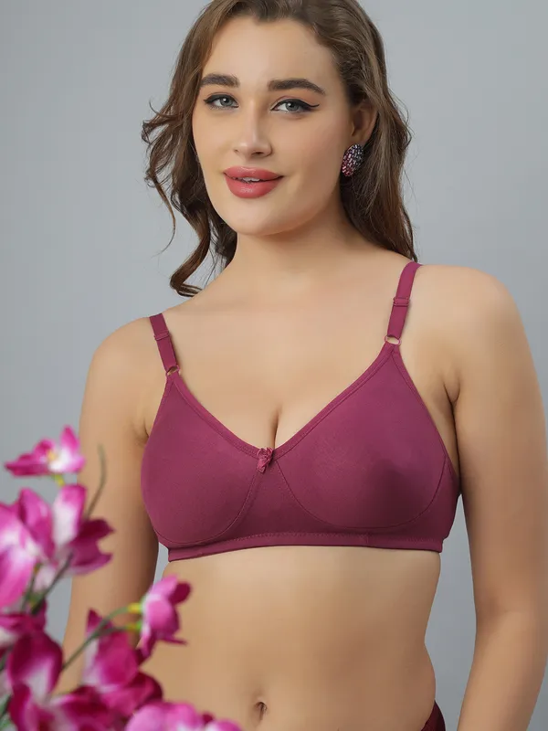 Bluenixie_Bn1802_Cotton_Rich_T_Shirt_Bra_Wine
