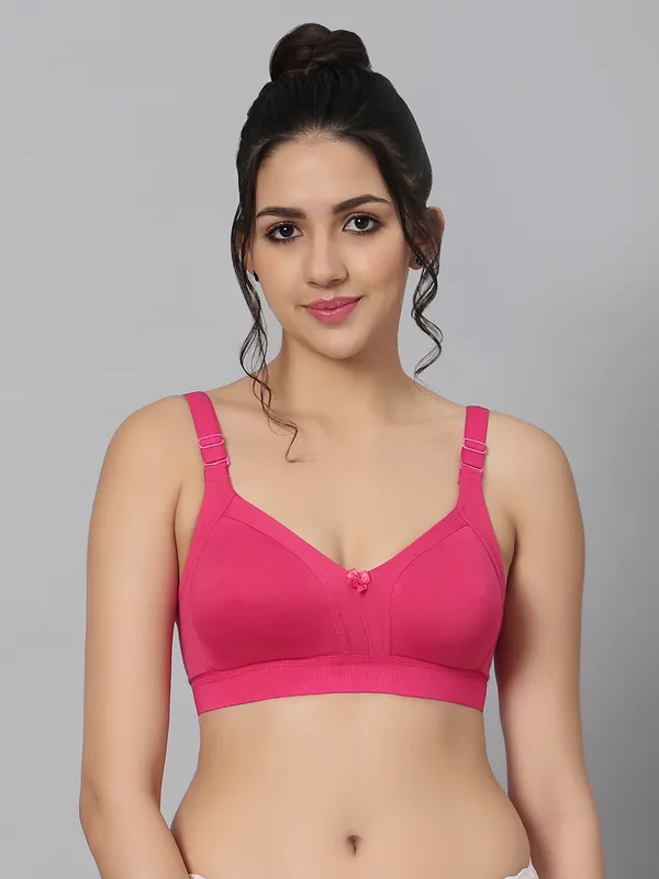 Bluenixie_Bn2514_Teesta_C_D_Cups_Cotton_Rich_Full_Coverage_T_Shirt_Bra_Fuchsia