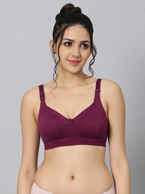 Bluenixie_Bn2514_Teesta_C_D_Cups_Cotton_Rich_Full_Coverage_T_Shirt_Bra_Wine