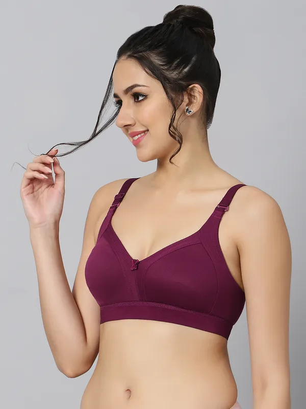 Bluenixie_Bn2514_Teesta_C_D_Cups_Cotton_Rich_Full_Coverage_T_Shirt_Bra_Wine