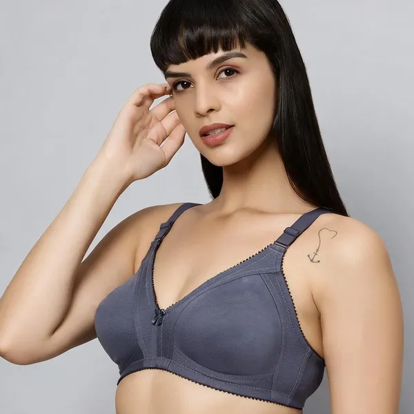 Bluenixie_Bn0210_New_Colors_C_Cup_Cotton_Rich_T_Shirt_Bra_K_Grey