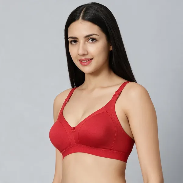 Bluenixie_Bn2514_Teesta_E_Cups_Full_Coverage_T_Shirt_Bra_Maroon_Back