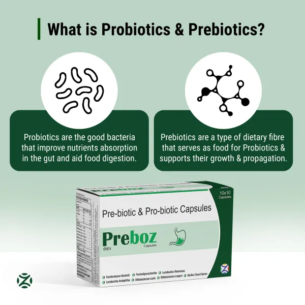 Preboz_Prebiotic_Probiotic_2_Billion_Cfu_6-Strain_Gut_Health_Capsules