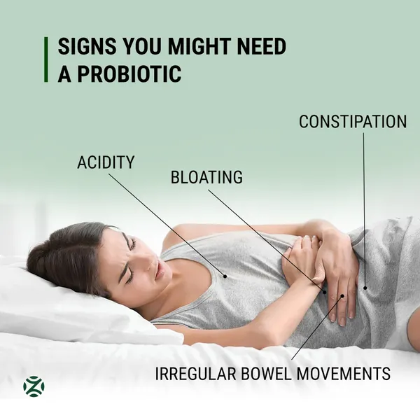Preboz_Prebiotic_Probiotic_2_Billion_Cfu_6-Strain_Gut_Health_Capsules