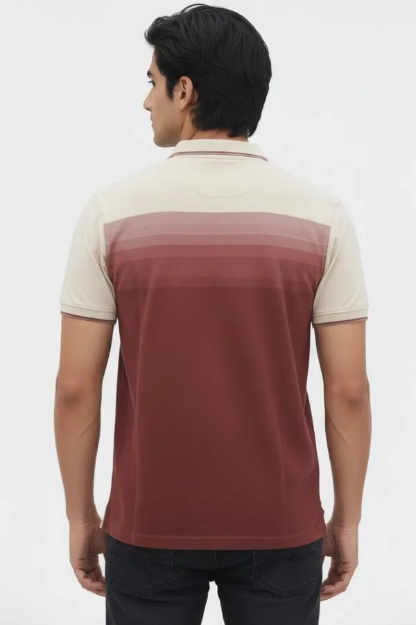 Maroon_Cotton_Colorblocked_Regular_Fit_Polo_T-Shirt_For_Men