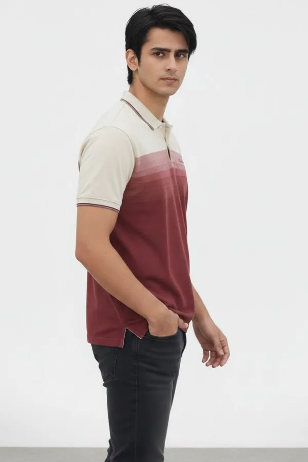 Maroon_Cotton_Colorblocked_Regular_Fit_Polo_T-Shirt_For_Men