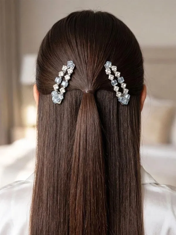 Women_Set_Of_2_Embellished_Alligator_Hair_Clip