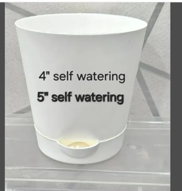White_Self_Watering_Plant_Pot|_5inch